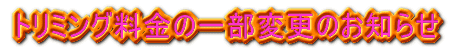 �g���~���O�����\ 