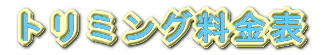�g���~���O�����\ 