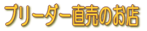 �u���[�_�[�����̂��X 